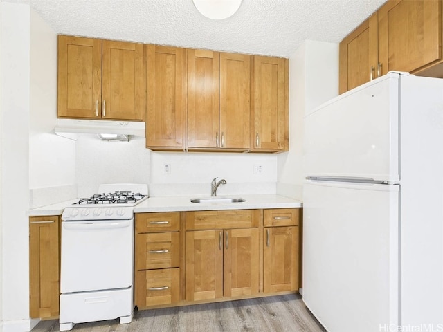 kitchen with under cabinet range hood, light countertops, light wood-style flooring, white appliances, and a sink