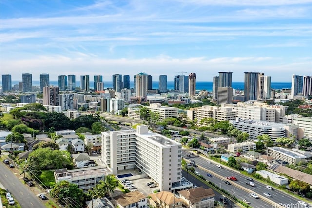 drone / aerial view featuring a view of city