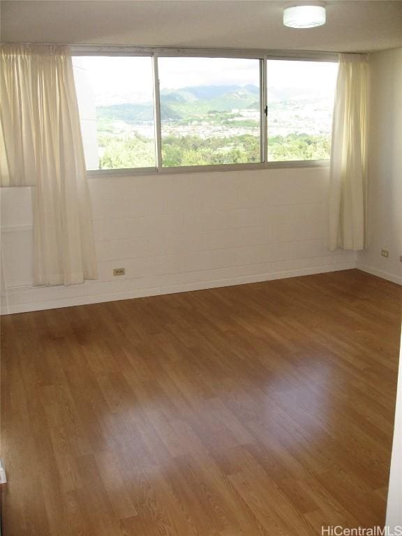 empty room featuring wood finished floors