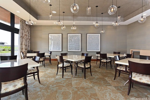 dining space featuring baseboards and a tray ceiling