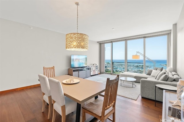 dining space featuring baseboards, wood finished floors, and floor to ceiling windows