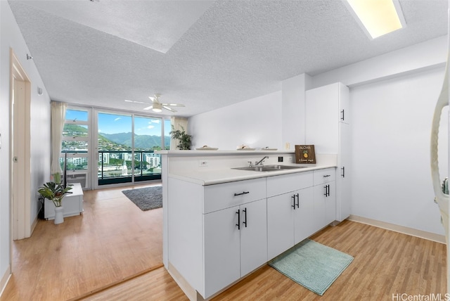 kitchen with light wood-style flooring, a peninsula, a wall of windows, and a sink