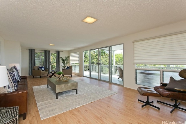 living room featuring a textured ceiling and wood finished floors