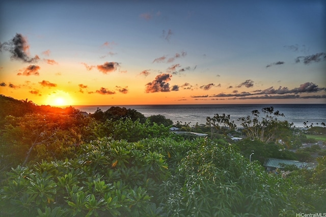 1460 Kamole St, Honolulu, HI 96821 - water view