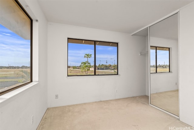 unfurnished bedroom featuring carpet and a closet