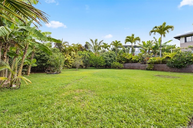 view of yard