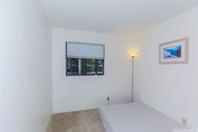 bedroom with carpet flooring