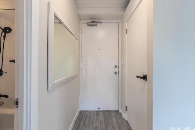 entryway featuring wood finished floors