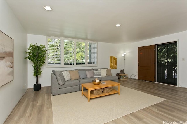 living area featuring recessed lighting and wood finished floors