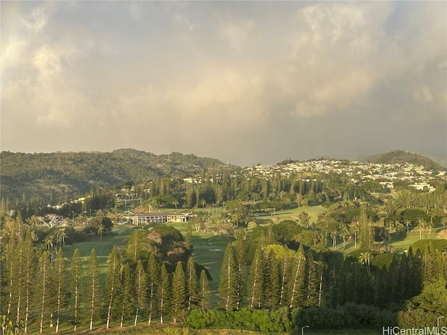 mountain view with a forest view