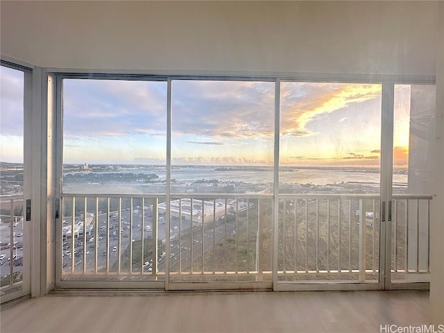 unfurnished sunroom with plenty of natural light