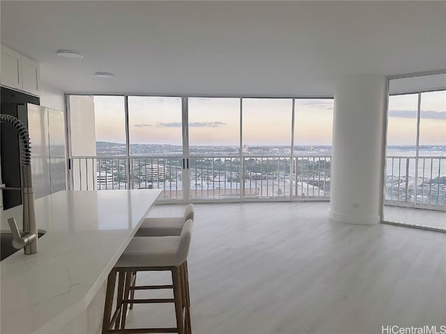 interior space with light stone counters, wood finished floors, a wealth of natural light, and floor to ceiling windows