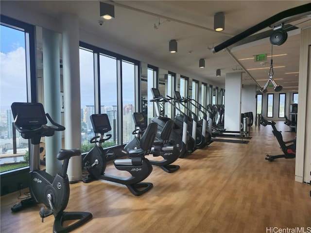 workout area with a healthy amount of sunlight and wood finished floors