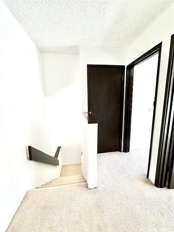 stairs featuring carpet floors and a textured ceiling