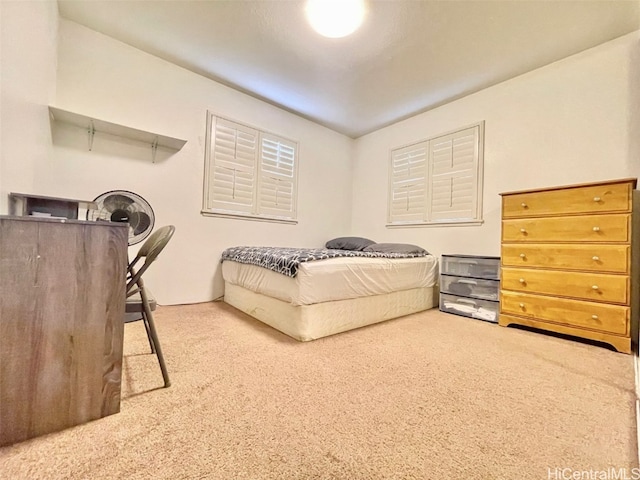 bedroom with carpet flooring