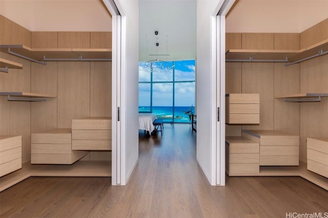 bathroom featuring floor to ceiling windows and wood finished floors