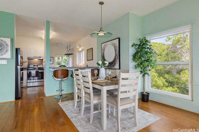 dining space featuring a wealth of natural light and wood finished floors