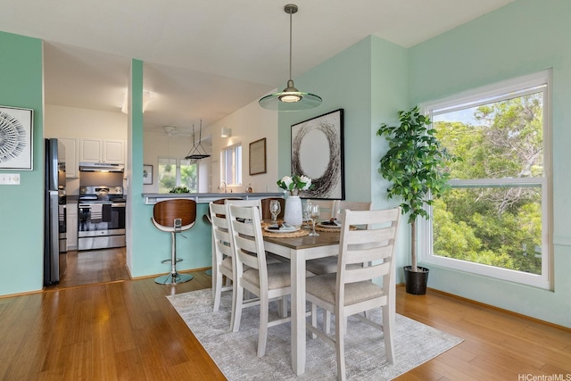 dining room with baseboards and wood finished floors