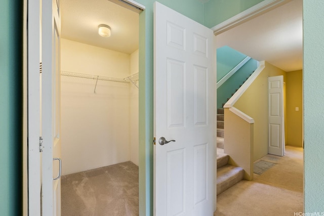 walk in closet featuring carpet flooring