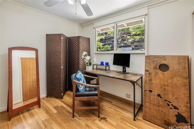 office area featuring ornamental molding, ceiling fan, and wood finished floors