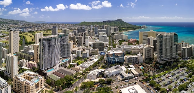 bird's eye view with a city view and a water view