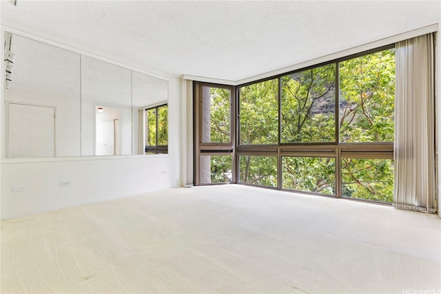 531 Hahaione St Unit 2-9A, Honolulu, HI 96825 - spare room featuring carpet and a textured ceiling