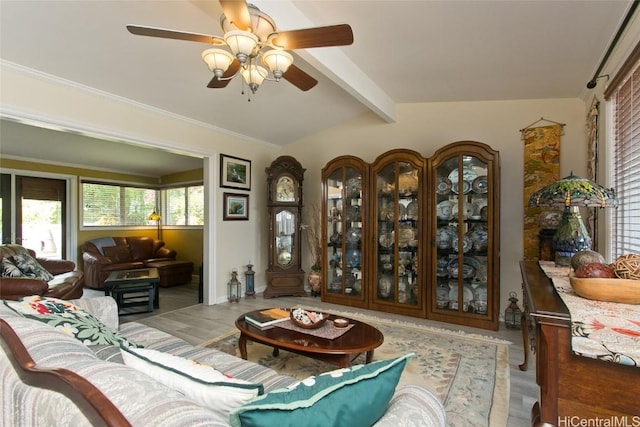 living area featuring crown molding, vaulted ceiling with beams, and a ceiling fan