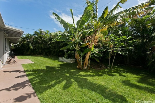 view of yard featuring a patio