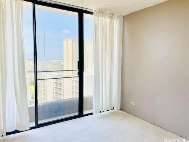 spare room with carpet floors and a textured ceiling