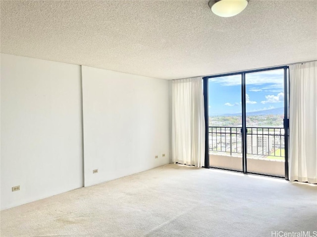 carpeted spare room featuring expansive windows and a textured ceiling