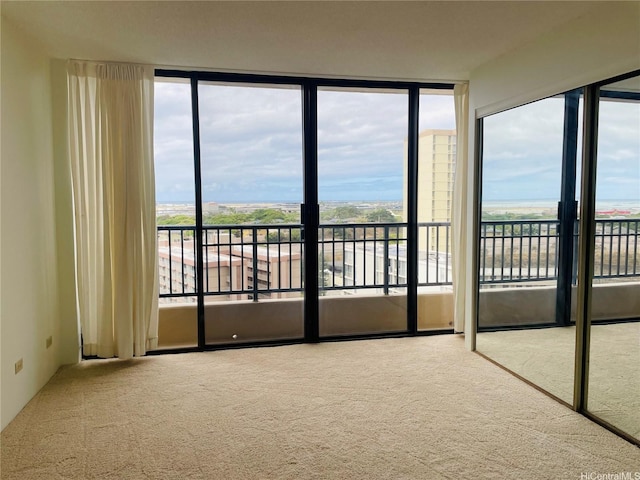 3130 Ala Ilima St Unit 18C, Honolulu, HI 96818 - carpeted spare room with a wall of windows