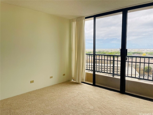 3130 Ala Ilima St Unit 18C, Honolulu, HI 96818 - empty room featuring plenty of natural light, floor to ceiling windows, and carpet