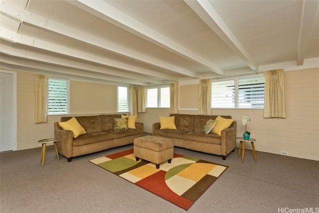 living area featuring beam ceiling and carpet flooring