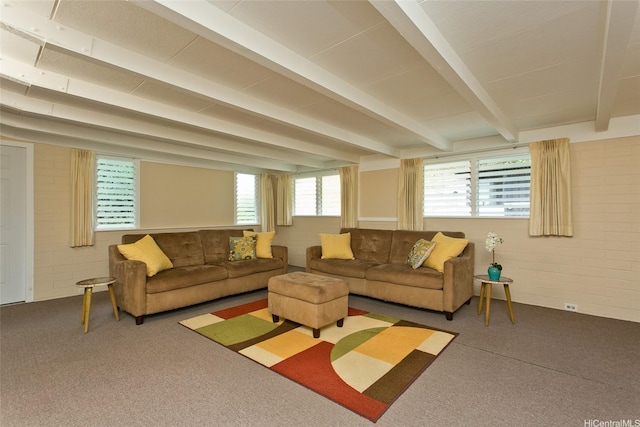 99-776 Aliipoe Dr, Aiea, HI 96701 - carpeted living room with beam ceiling