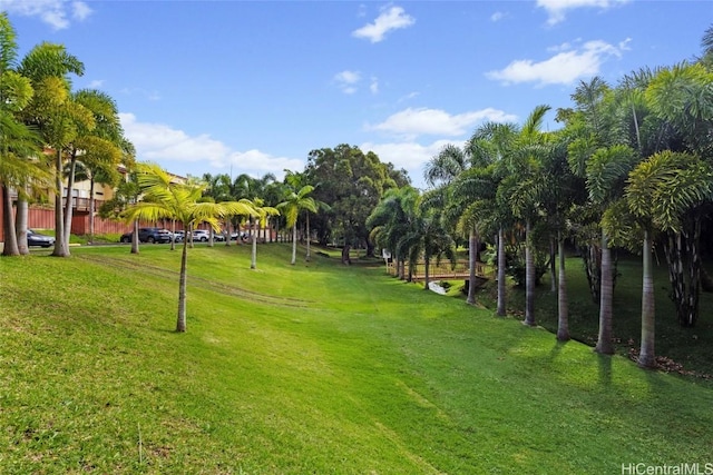 view of community featuring a lawn