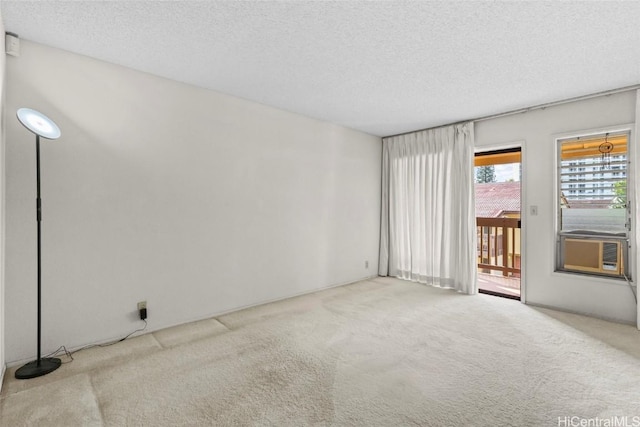 carpeted spare room with a textured ceiling