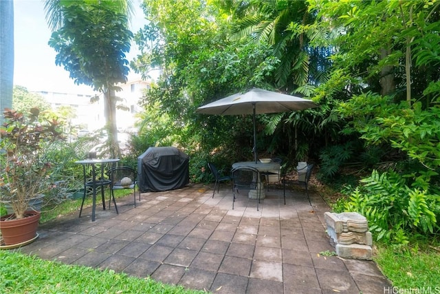 view of patio / terrace featuring area for grilling and outdoor dining area