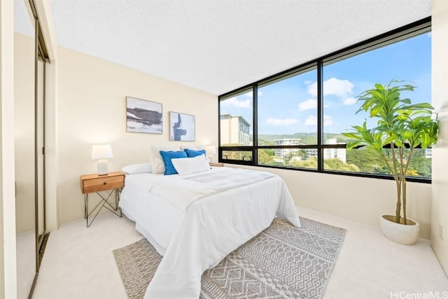 bedroom with a textured ceiling and light carpet