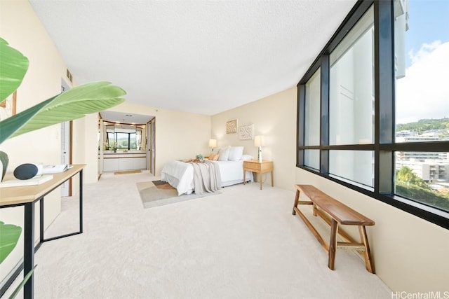 carpeted bedroom featuring a textured ceiling