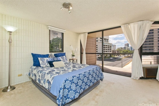 bedroom with a city view, access to exterior, carpet flooring, and a textured ceiling