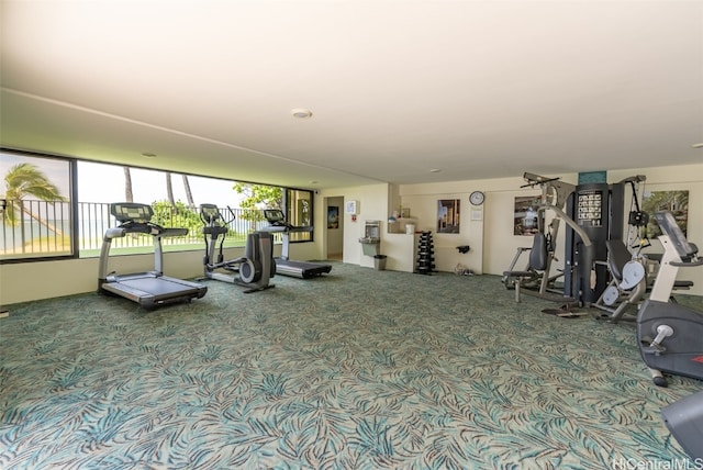 gym with carpet floors