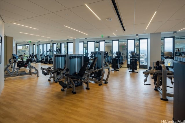 exercise room featuring floor to ceiling windows and light wood-type flooring