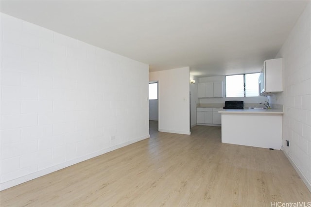 1118 Pua Ln Unit 301, Honolulu, HI 96817 - unfurnished living room with light wood-style flooring and a sink
