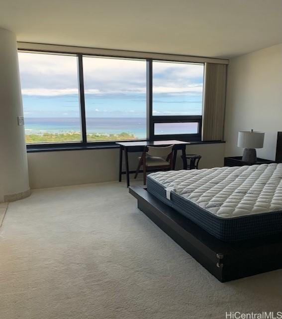 carpeted bedroom with multiple windows and a water view