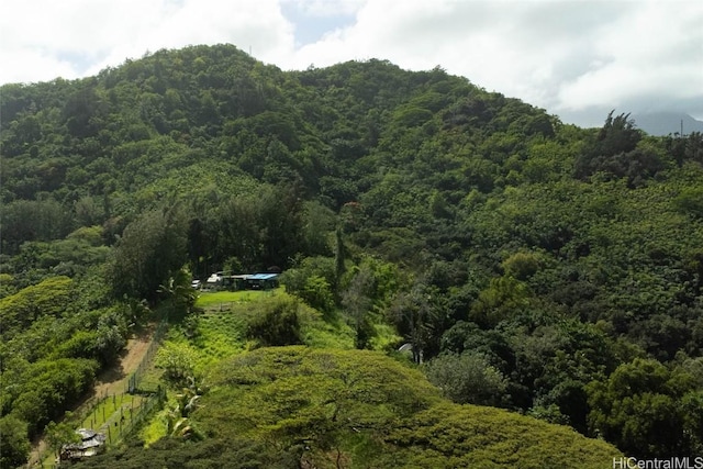 property view of mountains with a wooded view