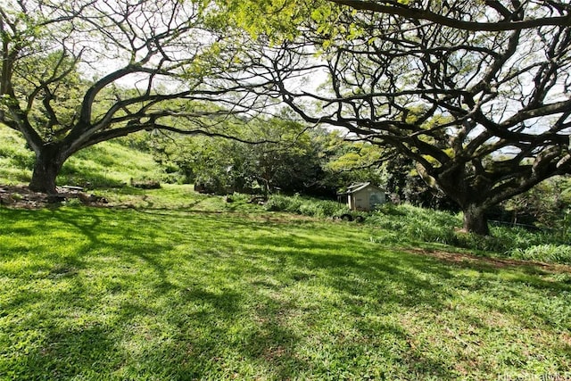 view of yard with an outdoor structure