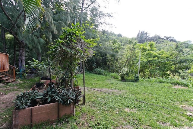 view of yard with a forest view