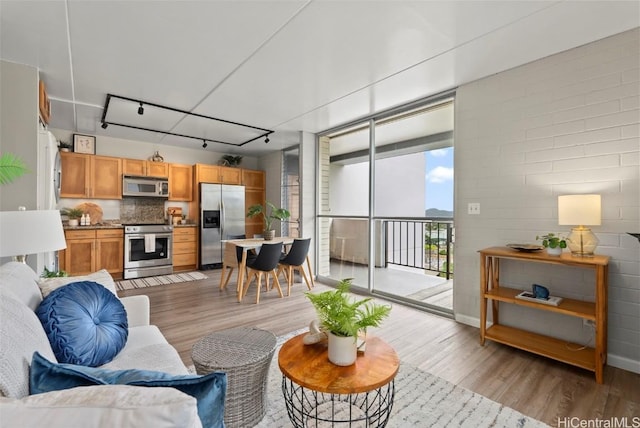 living area featuring track lighting, light wood-style floors, and expansive windows