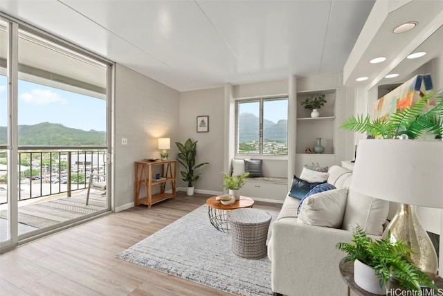 interior space with plenty of natural light, light wood-style floors, a mountain view, and baseboards