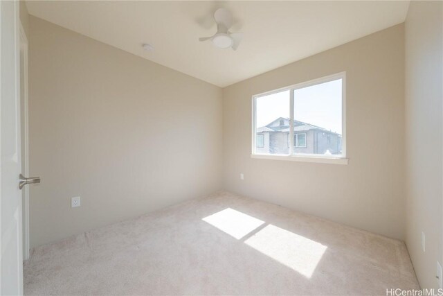 empty room featuring a ceiling fan and carpet